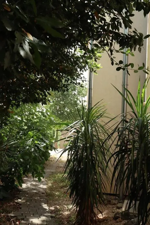 Holiday home Disco Desire Villa Kras Croatia